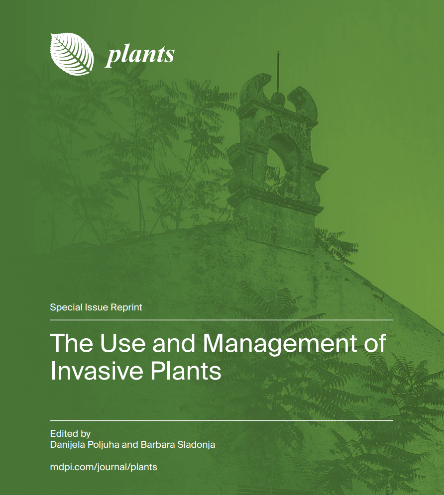 E book cover