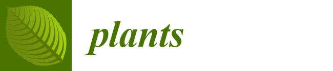 plants logo